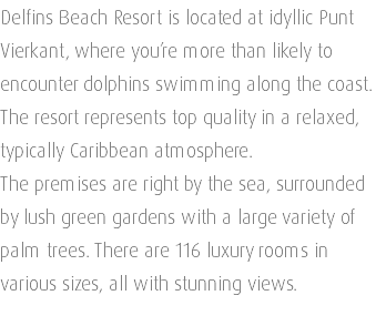 Delfins Beach Resort is located at idyllic Punt Vierkant, where you’re more than likely to encounter dolphins swimming along the coast. The resort represents top quality in a relaxed, typically Caribbean atmosphere. The premises are right by the sea, surrounded by lush green gardens with a large variety of palm trees. There are 116 luxury rooms in various sizes, all with stunning views. 